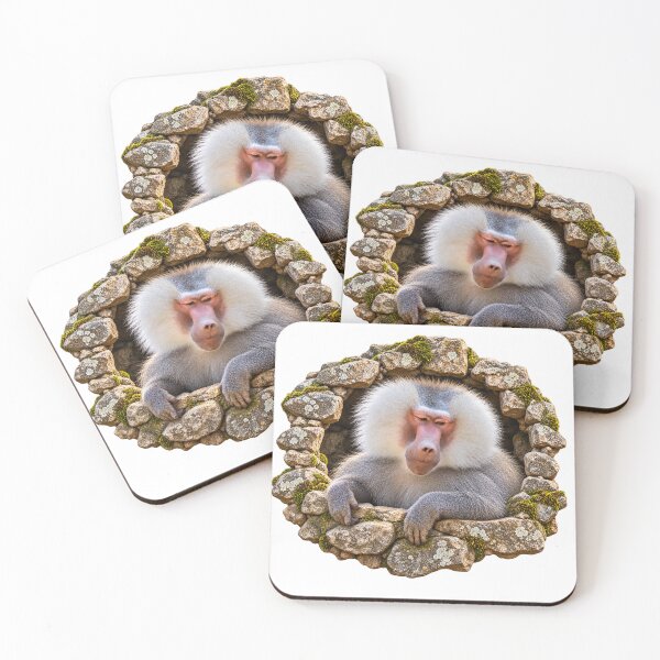 Item preview, Curious Baboon Peeking Through a Stone Wall designed and sold by Medve Photography & Design.