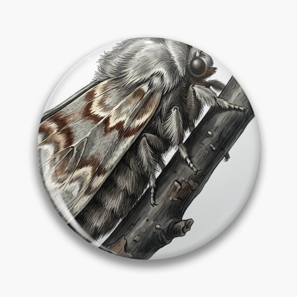 Item preview, Vintage Naturalist December Moth on Dark Mulberry Branch — Antique Moth Plate designed and sold by Catch333.