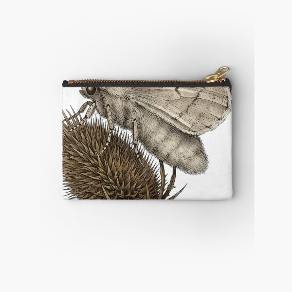 Item preview, Vintage Naturalist Winter Moth on Dried Teasel Head — Antique Moth Art designed and sold by Catch333.