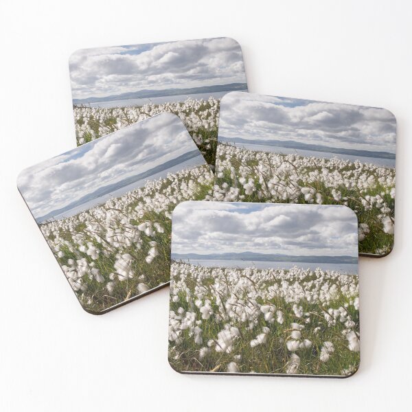 Item preview, Bog Cotton on Binevenagh designed and sold by Nigel R Bell Photography.
