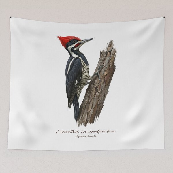 Item preview, Lineated Woodpecker on Tree Bird Illustration designed and sold by Takeda-art.