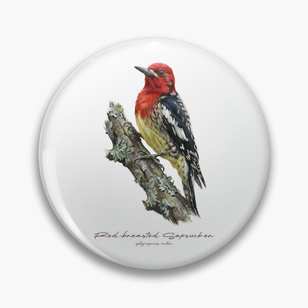 Item preview, Red-breasted Sapsucker on Rustic Branch Bird Illustration designed and sold by Takeda-art.