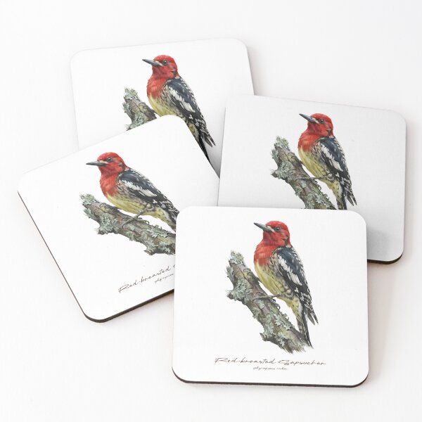 Item preview, Red-breasted Sapsucker on Rustic Branch Bird Illustration designed and sold by Takeda-art.