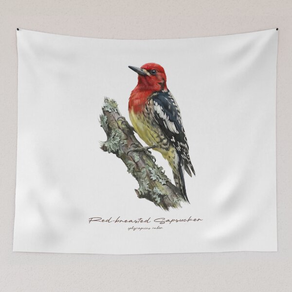 Item preview, Red-breasted Sapsucker on Rustic Branch Bird Illustration designed and sold by Takeda-art.
