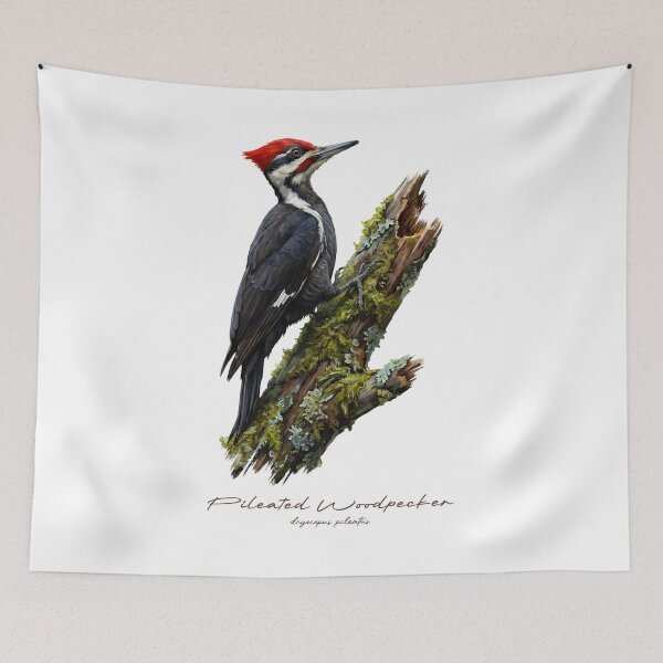 Item preview, Pileated Woodpecker on Mossy Branch Bird Illustration designed and sold by Takeda-art.