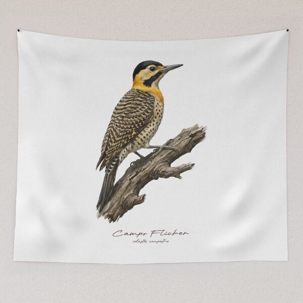 Item preview, Campo Flicker on Branch Bird Illustration designed and sold by Takeda-art.
