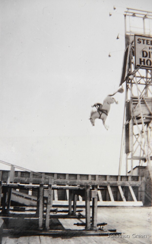 "Steel Pier Horse Diving Show Atlantic City NJ USA" by Jonathan Green