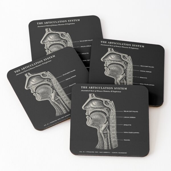 Item preview, Sagittal Vocal Tract Anatomy SLP Speech Pathology Art designed and sold by qwicdesign.