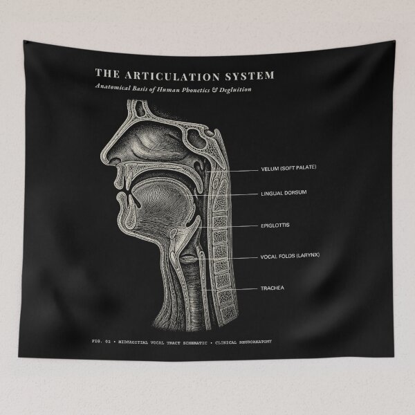 Item preview, Sagittal Vocal Tract Anatomy SLP Speech Pathology Art designed and sold by qwicdesign.