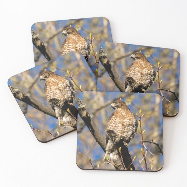Item preview, Watchful Eye designed and sold by Imrick Photography.