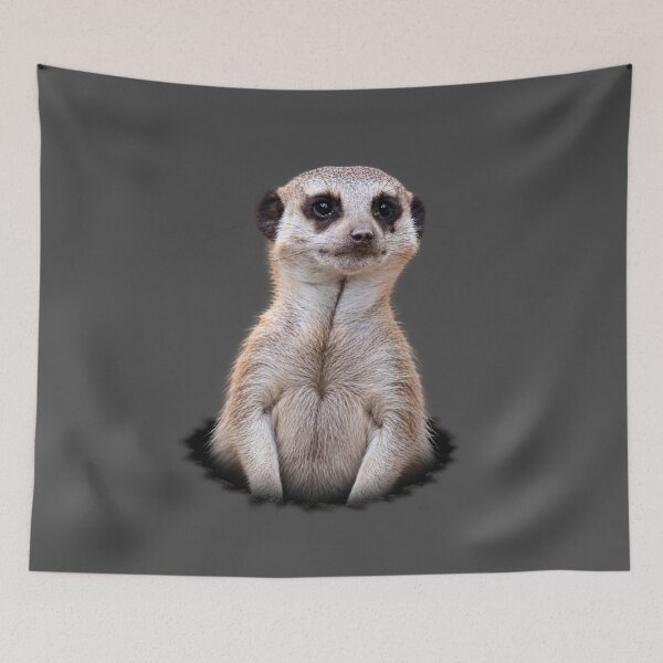 Item preview, Curious Meerkat Emerging from a Dark Hole designed and sold by Medve Photography & Design.