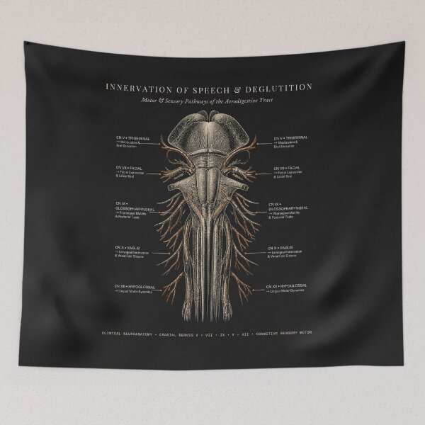 Item preview, Cranial Nerves Speech and Swallowing Dysphagia Medical SLP designed and sold by qwicdesign.