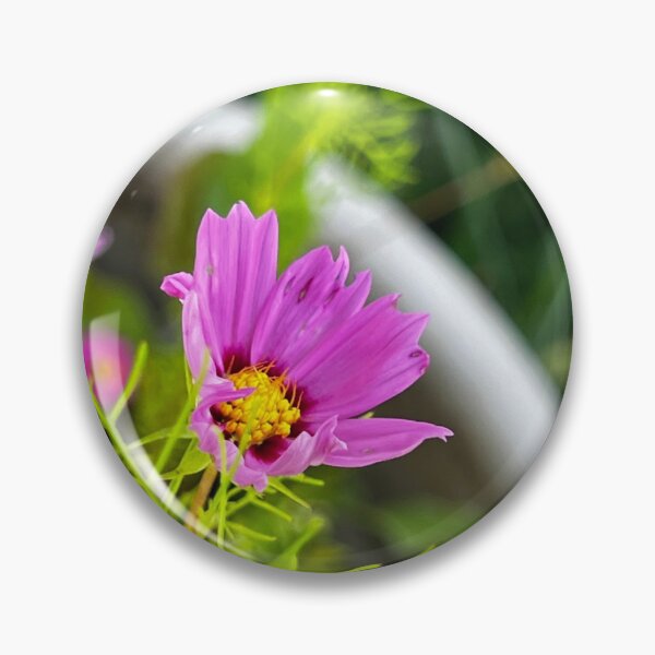 Item preview, Pink Cosmos Bloom Opening in the Garden — Fresh Summer Flower Photography designed and sold by Pink Ribbon Flowers .