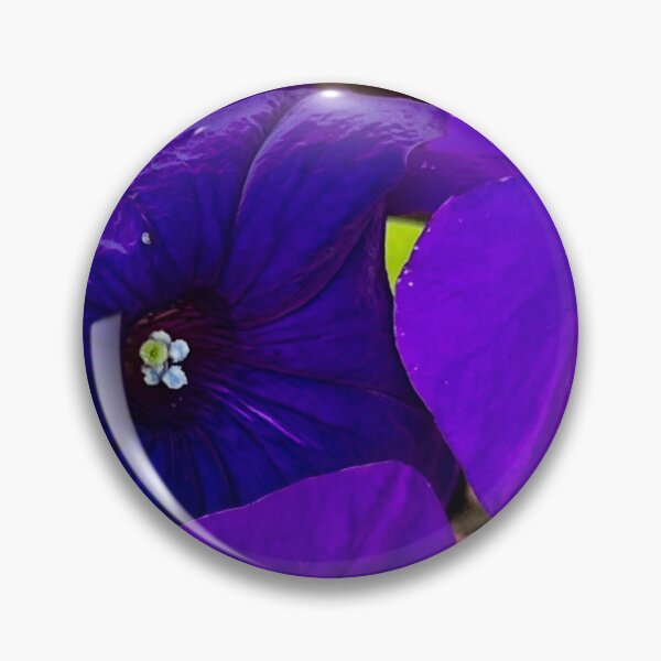Item preview, Deep Purple Petunias in Bloom — Velvety Violet Garden Flowers designed and sold by Pink Ribbon Flowers .