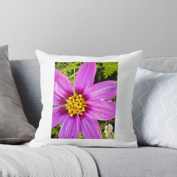 Item preview, Purple Cosmos Close-Up with Golden Center — Macro Flower Photography designed and sold by Pink Ribbon Flowers .