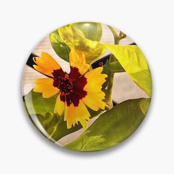 Item preview, Golden Coreopsis with Wine-Red Heart Among Sunlit Garden Leaves designed and sold by Pink Ribbon Flowers .