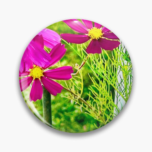 Item preview, Magenta Cosmos Trio in the Summer Garden — Vibrant Wildflower Photography designed and sold by Pink Ribbon Flowers .