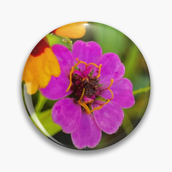 Item preview, Magenta Zinnia and Golden Coreopsis Pair — Colorful Summer Garden Blooms Photography designed and sold by Pink Ribbon Flowers .
