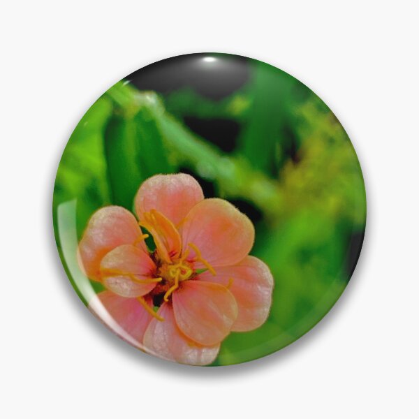 Item preview, Delicate Peach Zinnia in Soft Light — Pastel Summer Flower Photography designed and sold by Pink Ribbon Flowers .