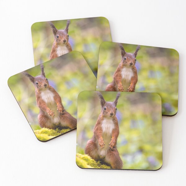 Item preview, Red Squirrel - The Guardian of Llangefni designed and sold by Darren Wilkes Wildlife UK.