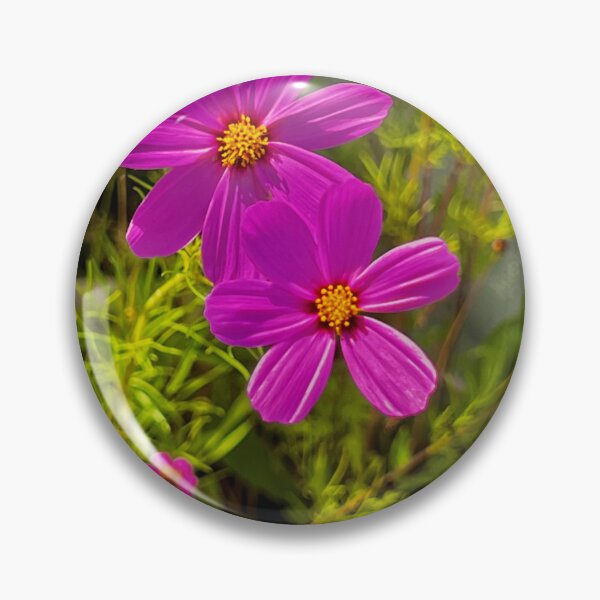 Item preview, Two Magenta Cosmos Blooms with Golden Hearts — Bright Garden Flower Photography designed and sold by Pink Ribbon Flowers .