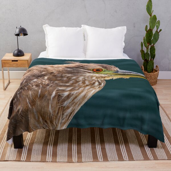 Item preview, Juvenile Black-Crowned Night Heron Portrait designed and sold by Kimberly Palmer.