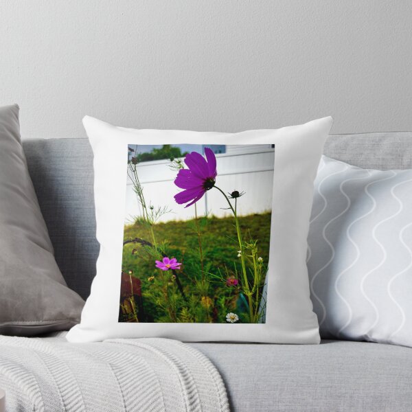 Item preview, Purple Cosmos in Profile by a White Fence — Cottage Garden Flower Photography designed and sold by Pink Ribbon Flowers .