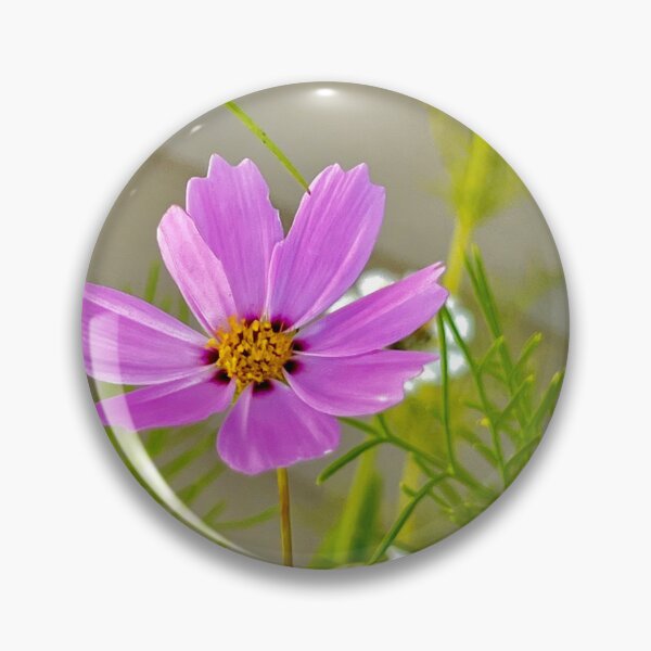 Item preview, Soft Pink Cosmos with a Dark Ringed Center — Gentle Garden Flower Photography designed and sold by Pink Ribbon Flowers .