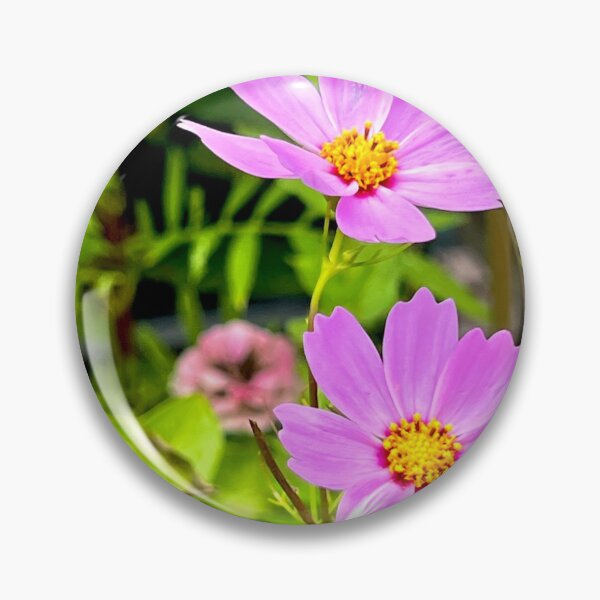 Item preview, Two Soft Pink Cosmos Flowers with Golden Centers — Romantic Garden Pair designed and sold by Pink Ribbon Flowers .