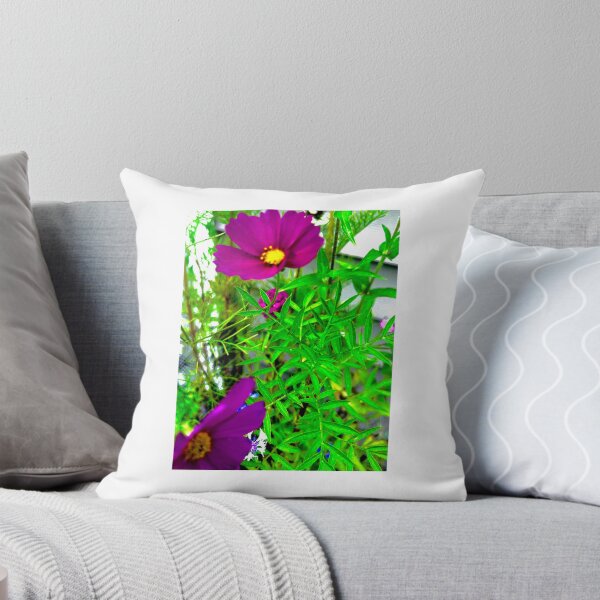Item preview, Deep Purple Cosmos Flowers Among Lush Green Leaves — Bold Garden Blooms designed and sold by Pink Ribbon Flowers .