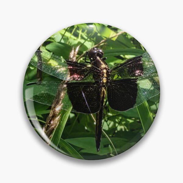 Item preview, Glossy Black Dragonfly designed and sold by Astute-Artio-Photography.