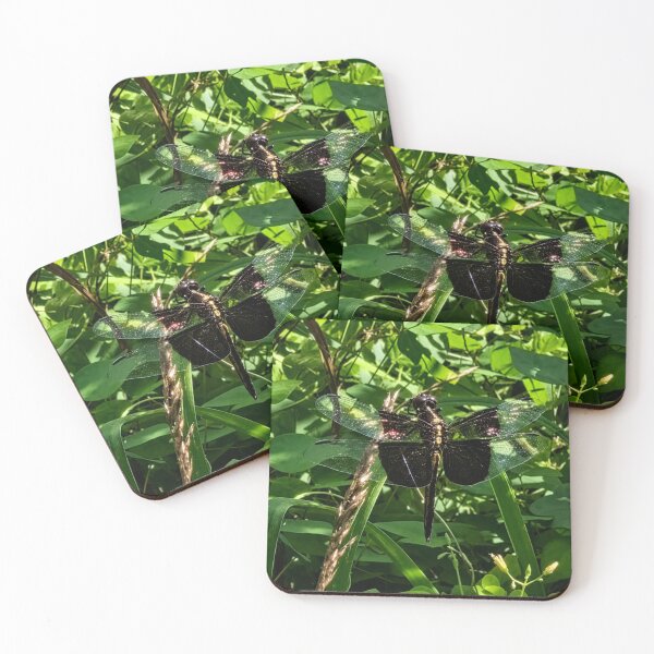 Item preview, Glossy Black Dragonfly designed and sold by Astute-Artio-Photography.