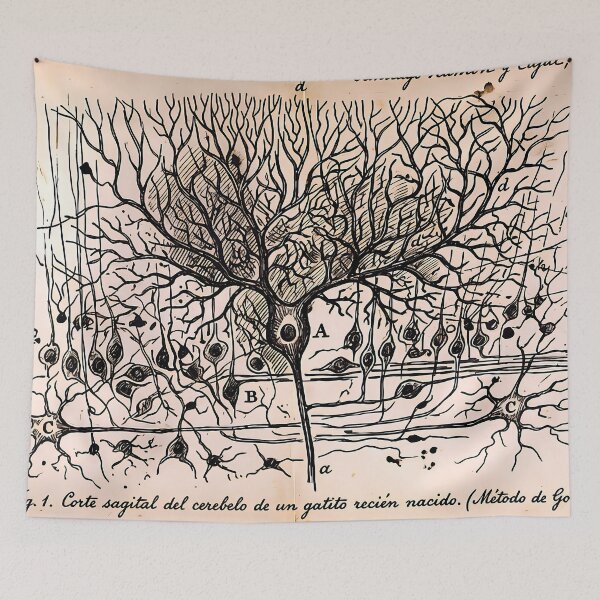 Item preview, Neuron Drawing - Santiago Ramon y Cajal designed and sold by Jon-Baran.