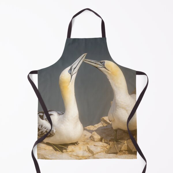 Item preview, Gannets designed and sold by Martin Stokes Photography.
