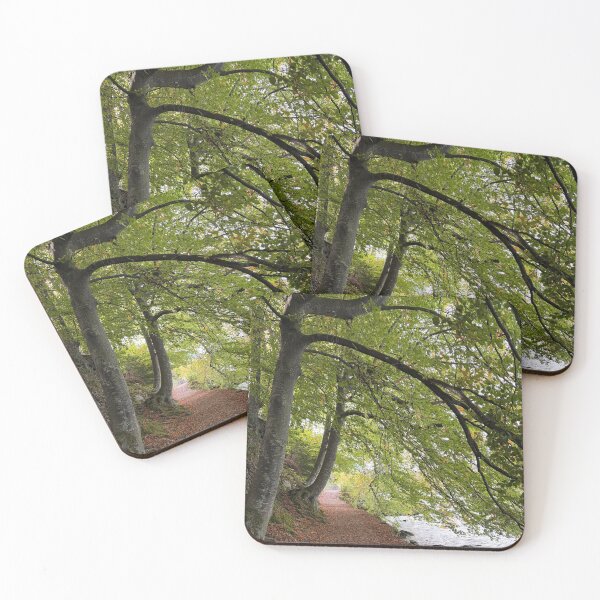 Item preview, Autumn forest designed and sold by Zeewind.
