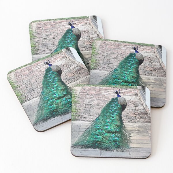 Item preview, Shy Peacock designed and sold by RPMouton.