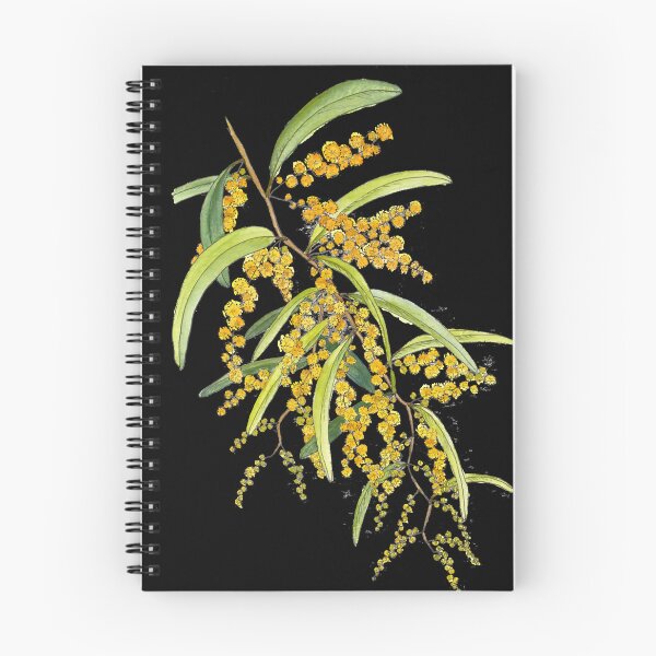 Item preview, Australian Wattle Flower, Illustration designed and sold by AnAlten.