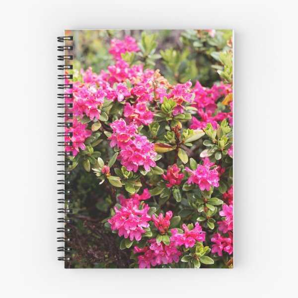 Item preview, An alpenrose (Rhododendron ferrugineum) bush with flowers designed and sold by Zosimus.