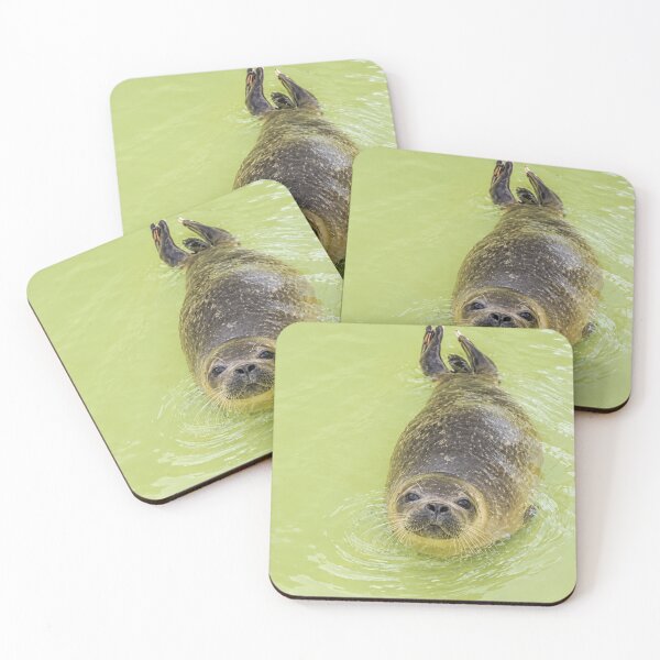 Item preview, Curious Harbour Seal Swimming Joyfully designed and sold by Astute-Artio-Photography.