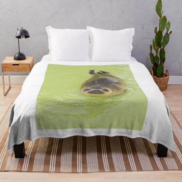 Item preview, Curious Harbour Seal Swimming Joyfully designed and sold by Astute-Artio-Photography.