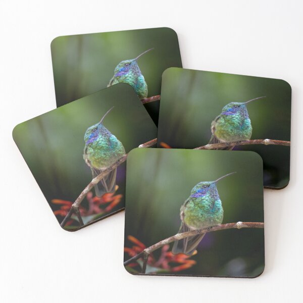 Item preview, Green Violetear Hummingbird, Iridescent Bird Portrait designed and sold by WildFrameNature.