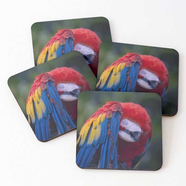 Item preview, Scarlet Macaw Preening, Colorful Tropical Parrot Portrait designed and sold by WildFrameNature.