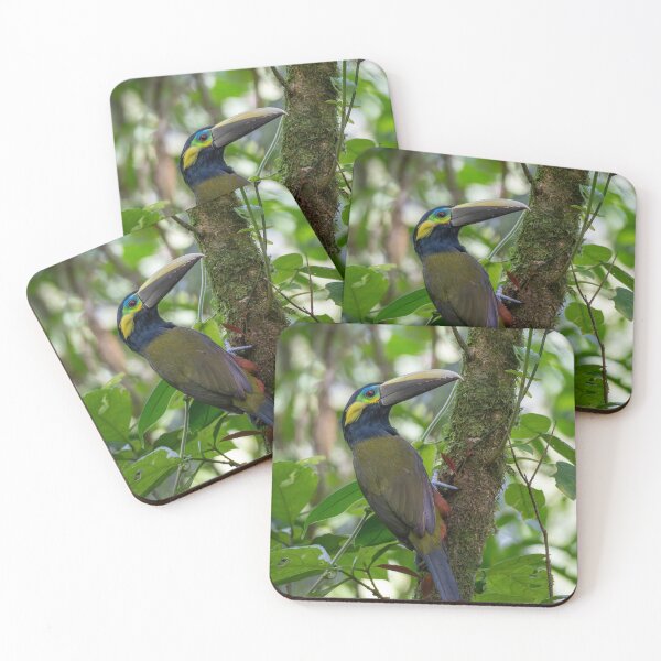 Item preview, Yellow-Eared Toucanet in the Rainforest, Colorful Tropical Bird designed and sold by WildFrameNature.