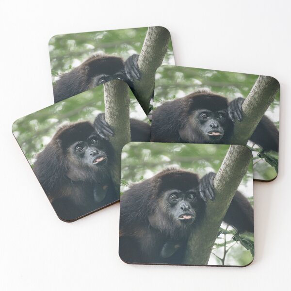 Item preview, Mantled Howler Monkey Portrait, Funny Tongue Out Wildlife Print designed and sold by WildFrameNature.