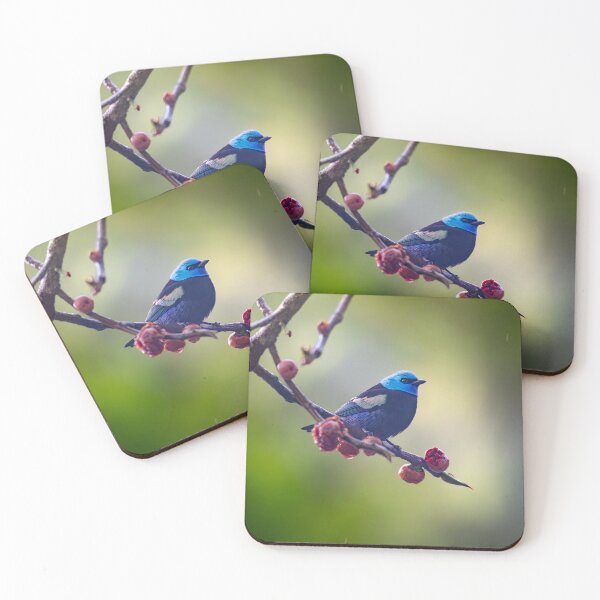 Item preview, Blue-Necked Tanager on a Branch, Vivid Tropical Songbird designed and sold by WildFrameNature.