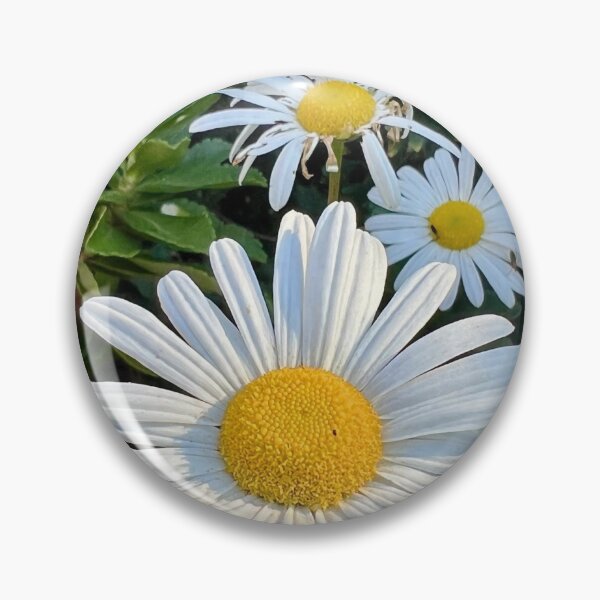 Item preview, Fresh Faces — White Daisies Against Green Photo designed and sold by Bitseybits.