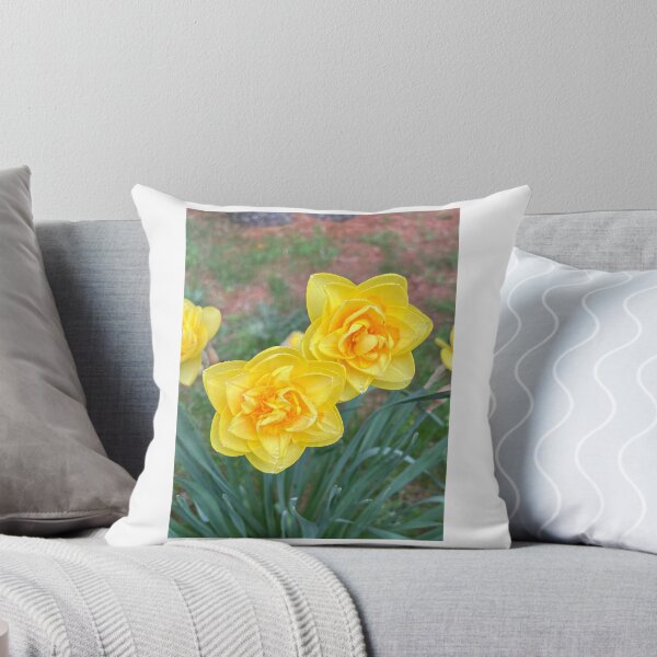Item preview, Double Sunshine — Yellow Double Daffodils Photo designed and sold by Bitseybits.