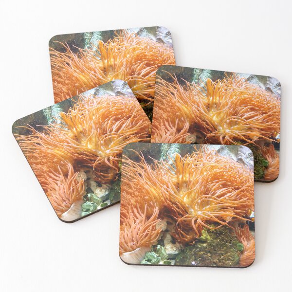 Item preview, Anemones  designed and sold by amanda150771.