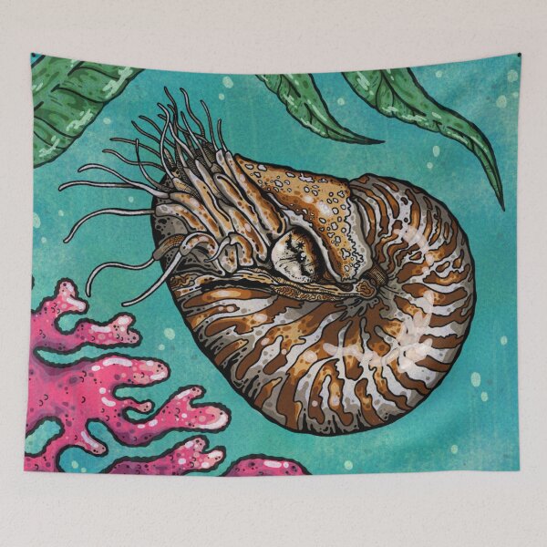 Item preview, Nautilus designed and sold by Higher Light.