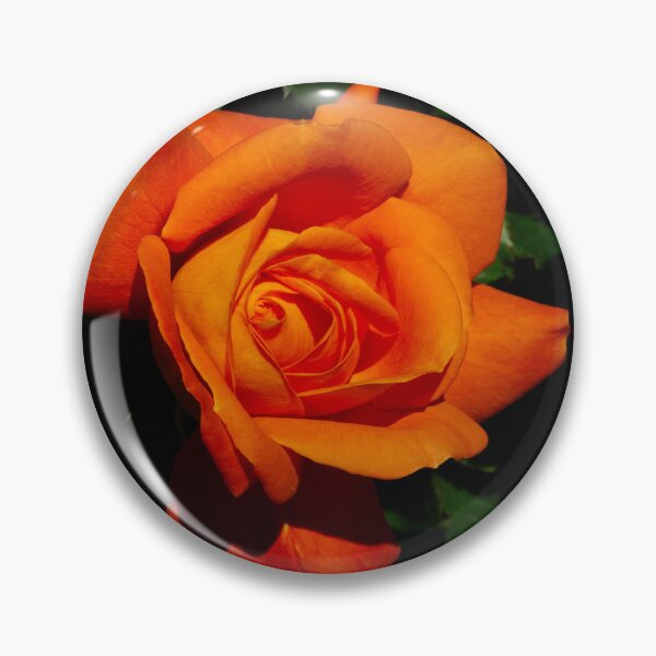 Item preview, The best photo of an orange rose you will ever see.  designed and sold by SilentlyRob668.